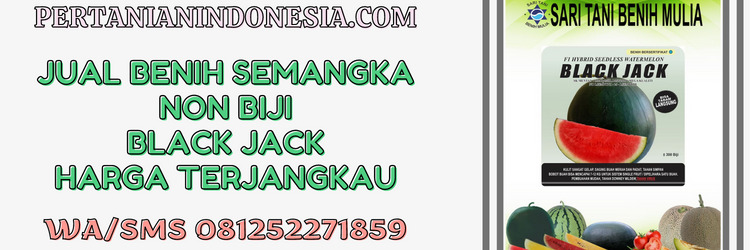 jual, benih semangka non biji, sari tani benih mulia, pertanian indonesia, black jack f1, murah